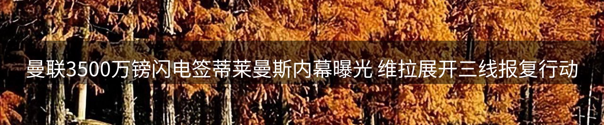 ued官网要闻