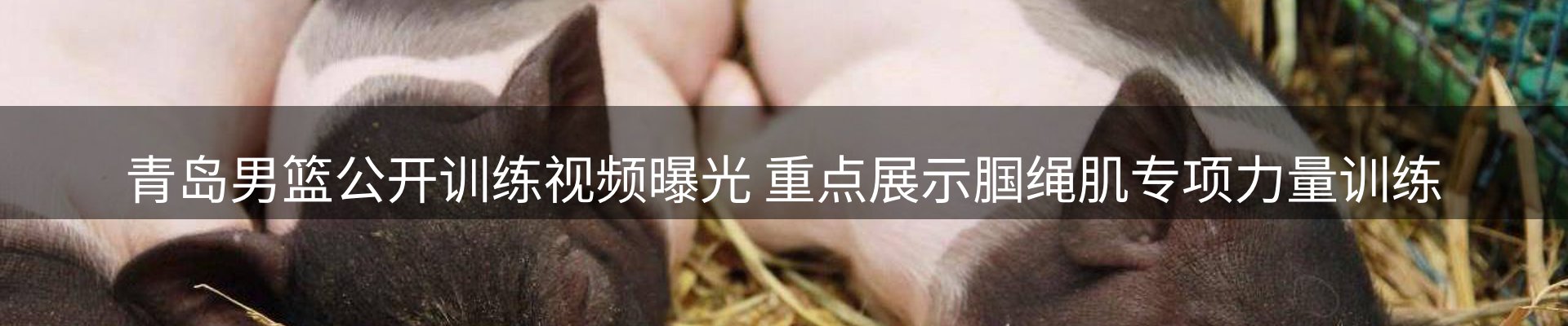 ued官网要闻